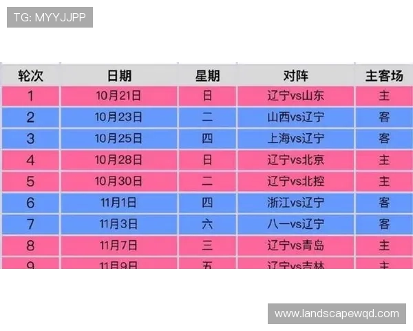 各级篮球联赛排名表（篮球各大联赛排名）sports